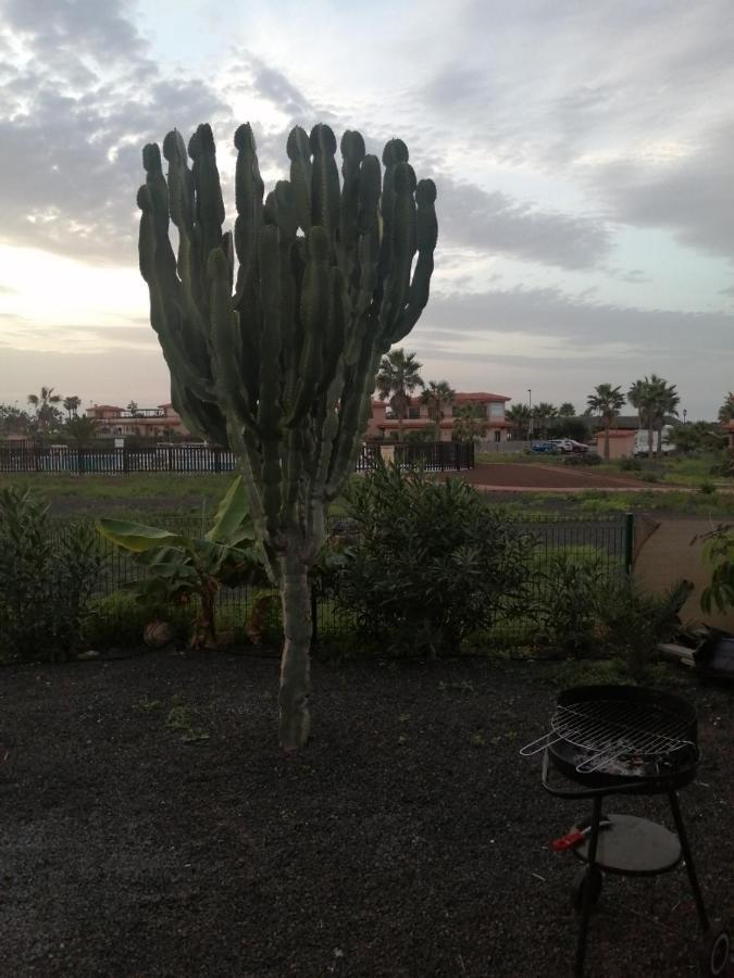 Casa Sol Origo Mare Hotel Lajares Kültér fotó